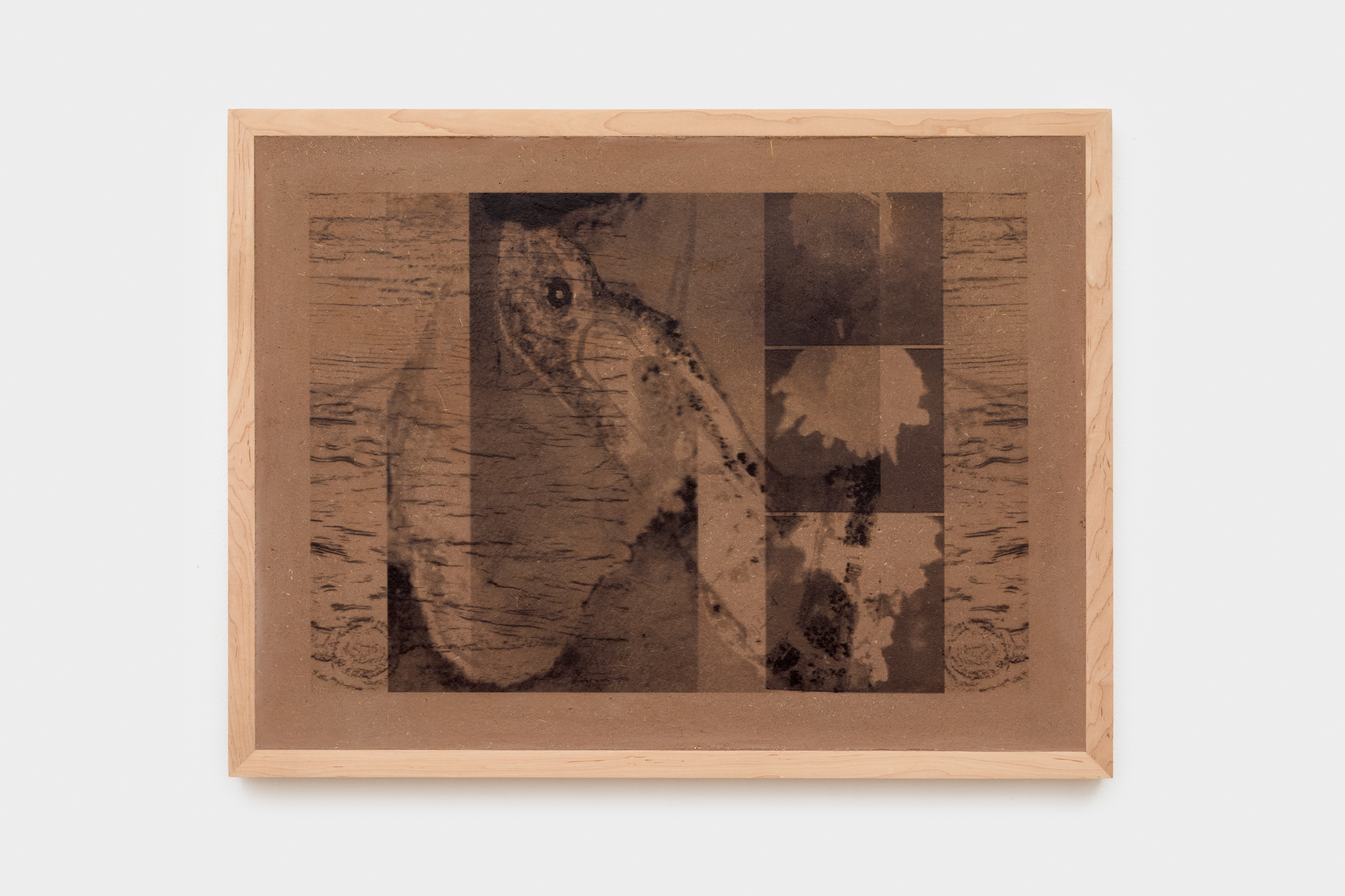 TraditionsAndTranslations